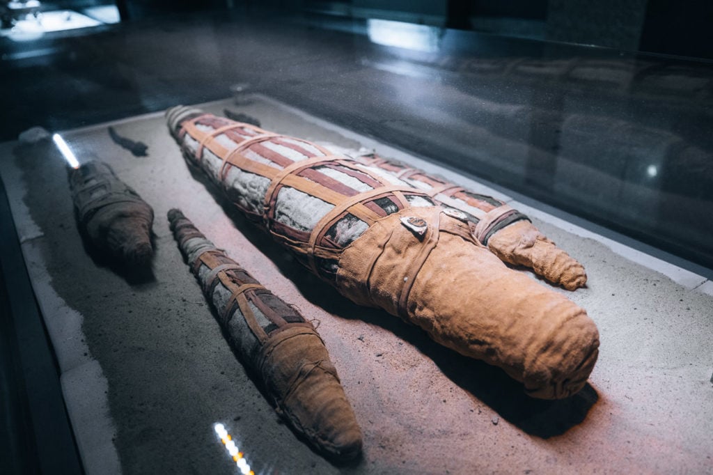 Crocodile mummies in Egypt